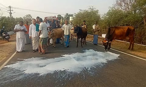பால் கொள்முதல் விலை விவகாரம் - தமிழகம் முழுவதும் பால் உற்பத்தியாளர்கள் போராட்டம்