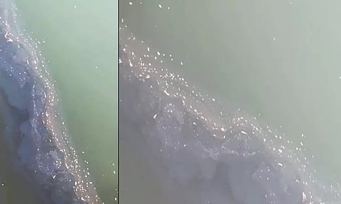 எண்ணூரில் கொசஸ்தலை ஆற்றில் செத்து மிதக்கும் மீன்கள்