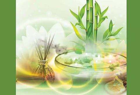 இயற்கை ஏர் பிரஷ்னர்கள்