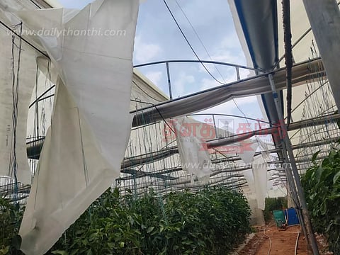 ஓசூர் பகுதியில்கனமழைக்கு பசுமை குடில்கள் சேதம்மலர் சாகுபடியாளர்கள் கவலை