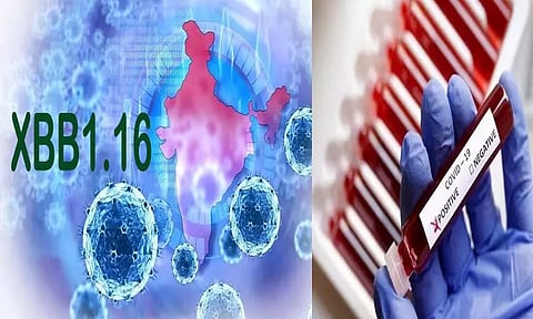 இந்தியாவில் புதிய வகை கொரோனா 76 பேருக்கு பாதிப்பு