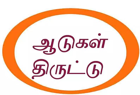 நடிகர் வடிவேலு சினிமா பட பாணியில் அடுத்தடுத்த வீடுகளை பூட்டி விட்டு ஆடுகள் திருட்டு