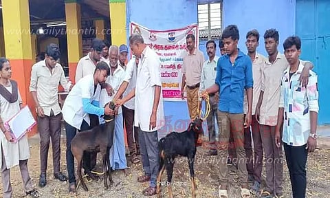 கால்நடை மருத்துவ முகாம்