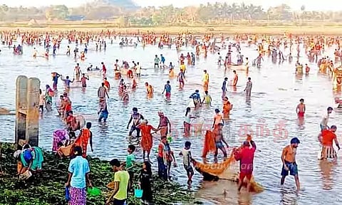 சூரத்தூர்பட்டி கண்மாயில் மீன்பிடி திருவிழா