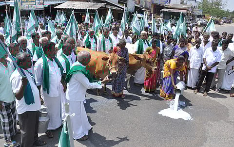 பால் கொள்முதல் விலையை உயர்த்தி வழங்கக்கோரி கறவை மாடுகளுடன் விவசாயிகள் ஆர்ப்பாட்டம்-சாலையில் பாலை ஊற்றியதால் பரபரப்பு