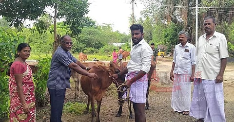 கோமாரி நோய் தடுப்பூசி முகாம்