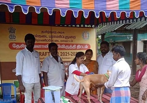 வெறிநோய் தடுப்பூசி முகாம்