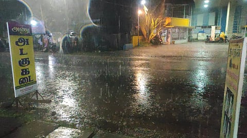 மரங்கள் முறிந்து விழுந்ததால் மின்சாரம் துண்டிப்பு