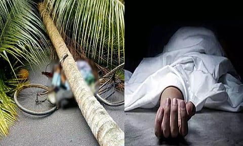 பள்ளிப்பட்டு அருகே பலத்த காற்று வீசியதில் தென்னை மரம் முறிந்து விழுந்து கட்டிட மேஸ்திரி பலி