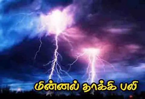 பேரையூர் பகுதியில் பலத்த மழை; மின்னல் தாக்கி, ஆடு மேய்த்தவர் சாவு - சுவர் இடிந்து 4 பேர் காயம்