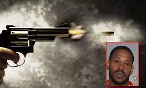 விளையாடி கொண்டிருந்த 5 வயது இந்திய வம்சாவளி சிறுமி சுட்டு கொலை; அமெரிக்கருக்கு 100 ஆண்டு சிறை தண்டனை