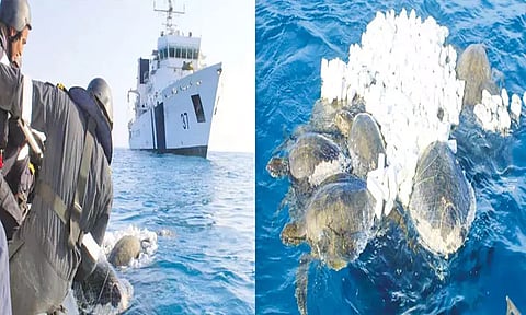 வலையில் சிக்கிய 7 ஆமைகளை மீட்ட இந்திய கடலோர காவல்படையினர்