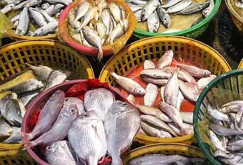 அம்மாபட்டினம் மீன் மார்க்கெட்டில் இறால் கிலோ ரூ.200-க்கு விற்பனை