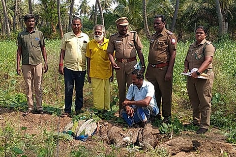 8 மயில்களை விஷம் வைத்து கொன்ற விவசாயி கைது