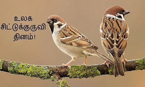 உலக சிட்டுக்குருவிகள் தினம்