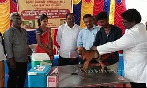 வெறிநோய் தடுப்பூசி முகாம்