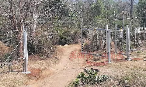 வளர்ப்பு யானைகள் முகாமில் தொங்கும் மின்வேலி அமைப்பு