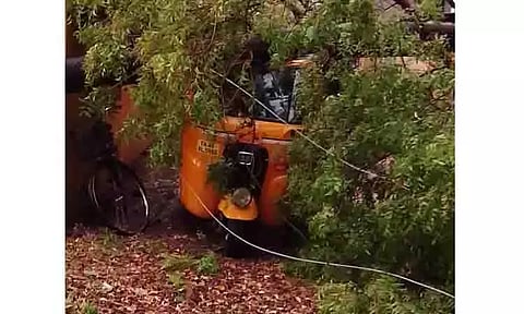 திருச்சியில் கோடை மழை