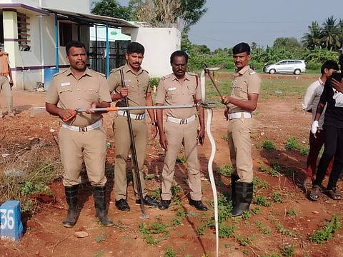வீட்டுக்குள் புகுந்த பாம்பு