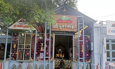 பங்குனி உத்திரத்தில் மட்டும் பூ பூக்கும் தல விருட்சம்