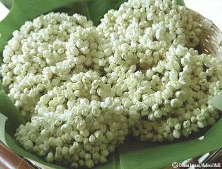 திருவாரூரில் 1 கிலோ மல்லிகை பூ ரூ.400-க்கு விற்பனை