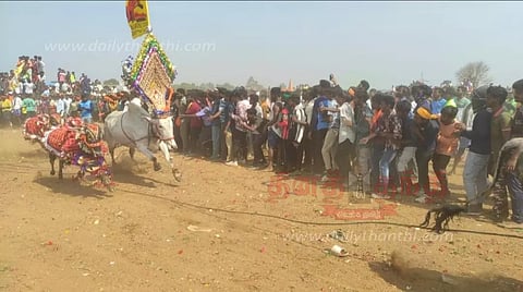 தேன்கனிக்கோட்டையில் எருதுவிடும் விழாகாளைகள் முட்டி 39 பேர் காயம்