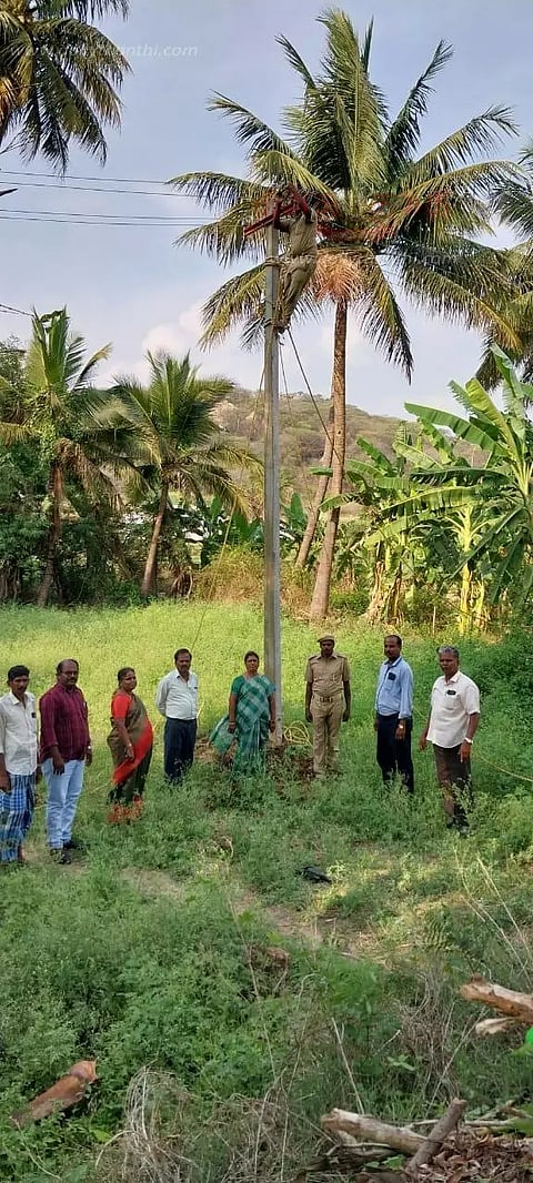 பர்கூர் அருகே வனப்பகுதிகளில் மின்சாரம் தாக்கி யானைகள் இறப்பதை தடுக்க நடவடிக்கை
