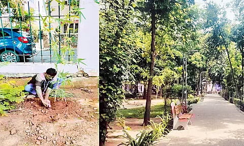 பொதுமக்களுக்கு மனநிறைவை தரும் வகையில் பூங்காக்களை பராமரிக்க வேண்டும் - அதிகாரிகளுக்கு மாநகராட்சி கமிஷனர் உத்தரவு