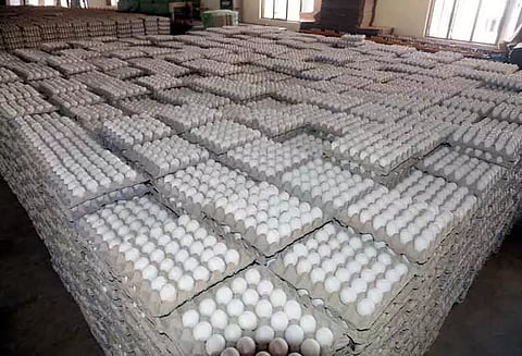 முட்டை கொள்முதல் விலை 30 காசுகள் குறைந்தது