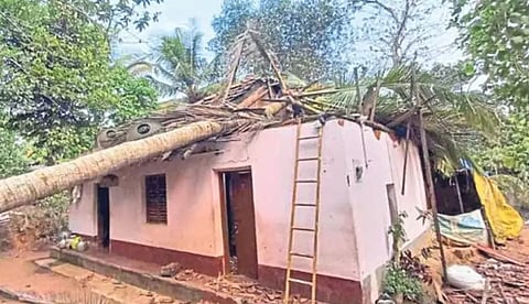 தட்சிண கன்னடாவில் பலத்த மழை