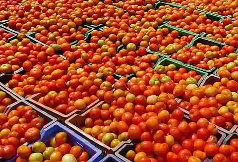 தக்காளி கிலோ ரூ.7-க்கு விற்பனை