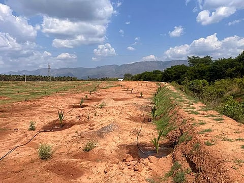 18-ம் கால்வாய் கரை பகுதியில்ஆக்கிரமிப்பை அகற்றகோரி விவசாயிகள் மனு