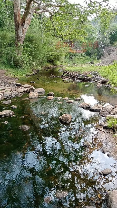 நீரோடைகளில் தண்ணீர் வரத்து குறைந்தது