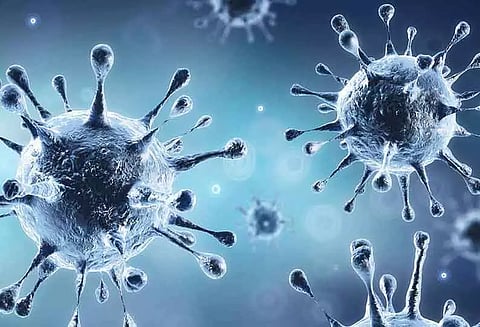 புதிதாக 14 பேருக்கு கொரோனா