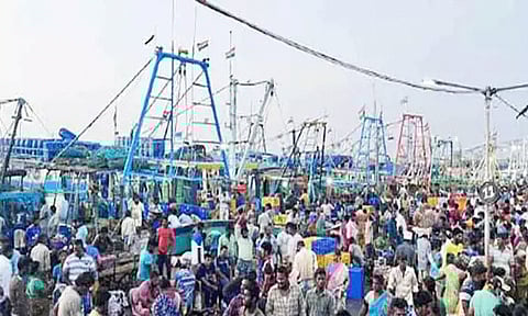 மீன்பிடி தடைகாலம் எதிரொலி: சென்னை காசிமேட்டில் மீன்களின் விலை கிடுகிடு உயர்வு.!