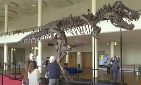 சுவிட்சர்லாந்தில் 'டி-ரெக்ஸ்' டைனோசர் எலும்புக்கூடு 50 கோடிக்கு ரூபாய்க்கு ஏலம்