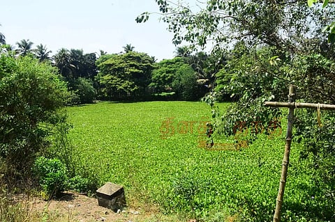 பாசிகுளத்தை ஆக்கிரமித்துள்ள ஆகாய தாமரை செடிகள் அகற்றப்படுமா?