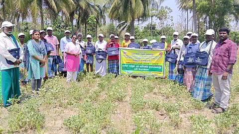 மணிலா, எள் பயிர்களை தாக்கும் பூச்சிகளை கட்டுப்படுத்த பயிற்சி