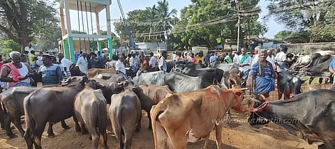 ரூ.1 கோடிக்கு ஆடு, மாடுகள் விற்பனை