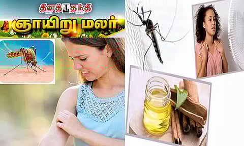 கோடையில் கொசுக்கடித்தால்...