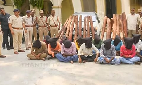 செம்மரக் கடத்தல்: தமிழகத்தைச் சேர்ந்த 10 பேர் உட்பட 13 பேர் கைது