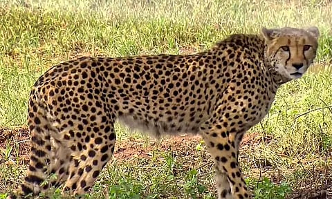 கோப்புப்படம்