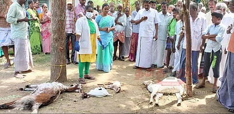 மின்னல் தாக்கி பெண் பலி