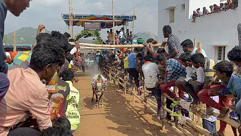 வேப்பனப்பள்ளி அருகே எருதுவிடும் விழா 250 காளைகள் பங்கேற்பு