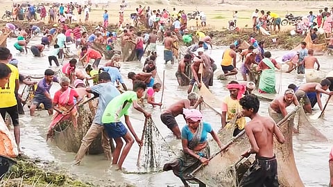 மலைக்கண்மாயில் மீன்பிடி திருவிழா