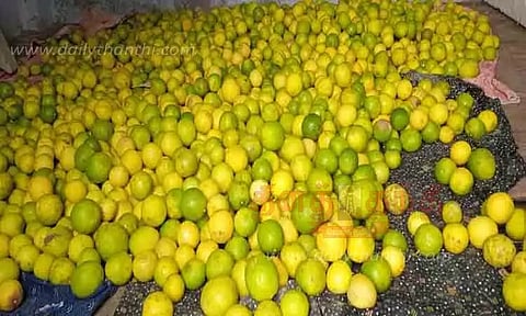 தொடர்மழையினால் எலுமிச்சை பழம் விலை குறைந்தது