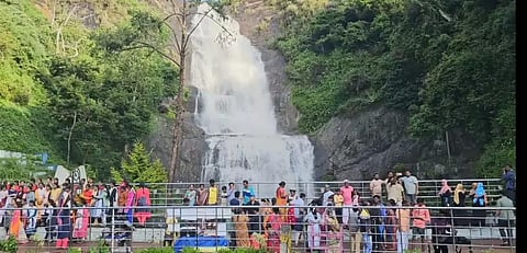 கொடைக்கானலில் வெளுத்து வாங்கிய கனமழை; மண் சரிவு, மரம் சாய்ந்ததால் போக்குவரத்து பாதிப்பு