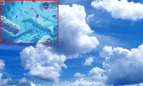 கோப்புப்படம் 