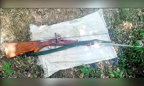 வேட்டைக்கு பயன்படுத்திய நாட்டு துப்பாக்கியை போலீசார் கைப்பற்றினர்