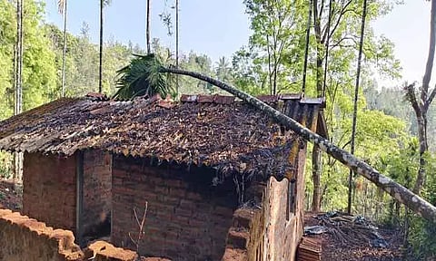 தேவர்சோலை, நெலாக்கோட்டையில் வீடுகளை சேதப்படுத்தி காட்டு யானைகள் அட்டகாசம்